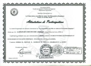 buydegree from the Université Mohamed Boudiaf de M'sila