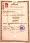 Buy college degree from The American University in Cairo