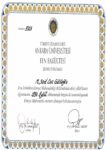Buy college degree from the Ankara Üniversitesi
