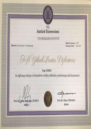Buy college degree from the Atatürk Üniversitesi