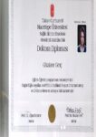 Buy college degree from the  Hacettepe Üniversitesi