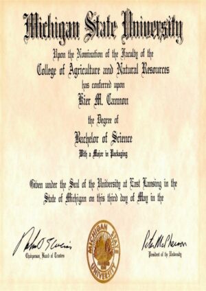 Buy college degree from The Michigan State University