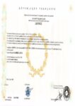 Buy college degree from The Université Grenoble Alpes