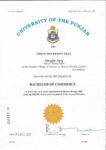 Buy college degree from the University of the Punjab