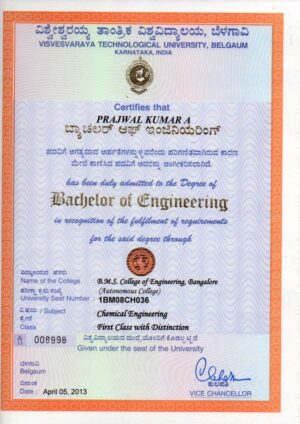 Buy college degree from The Visvesvaraya Technological University